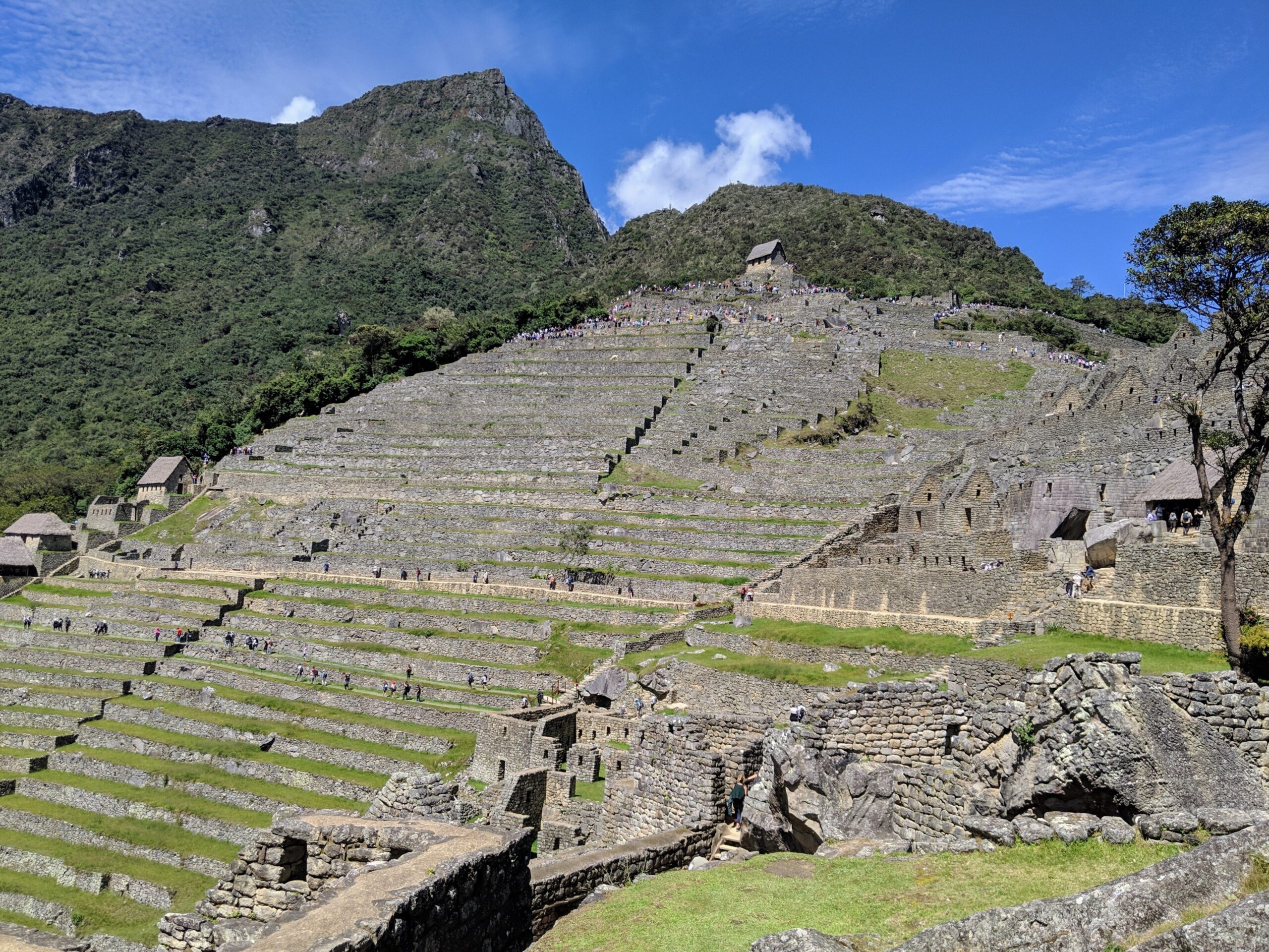 The terraces at Machu Picchu